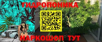 гашик Обнинск