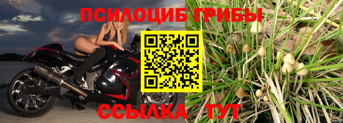 Псилоцибиновые грибы Magic Shrooms Тихорецк