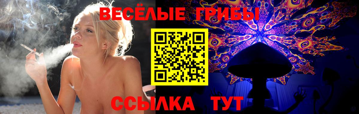 Тихорецк  Псилоцибиновые грибы GOLDEN TEACHER  Вход с VPN 